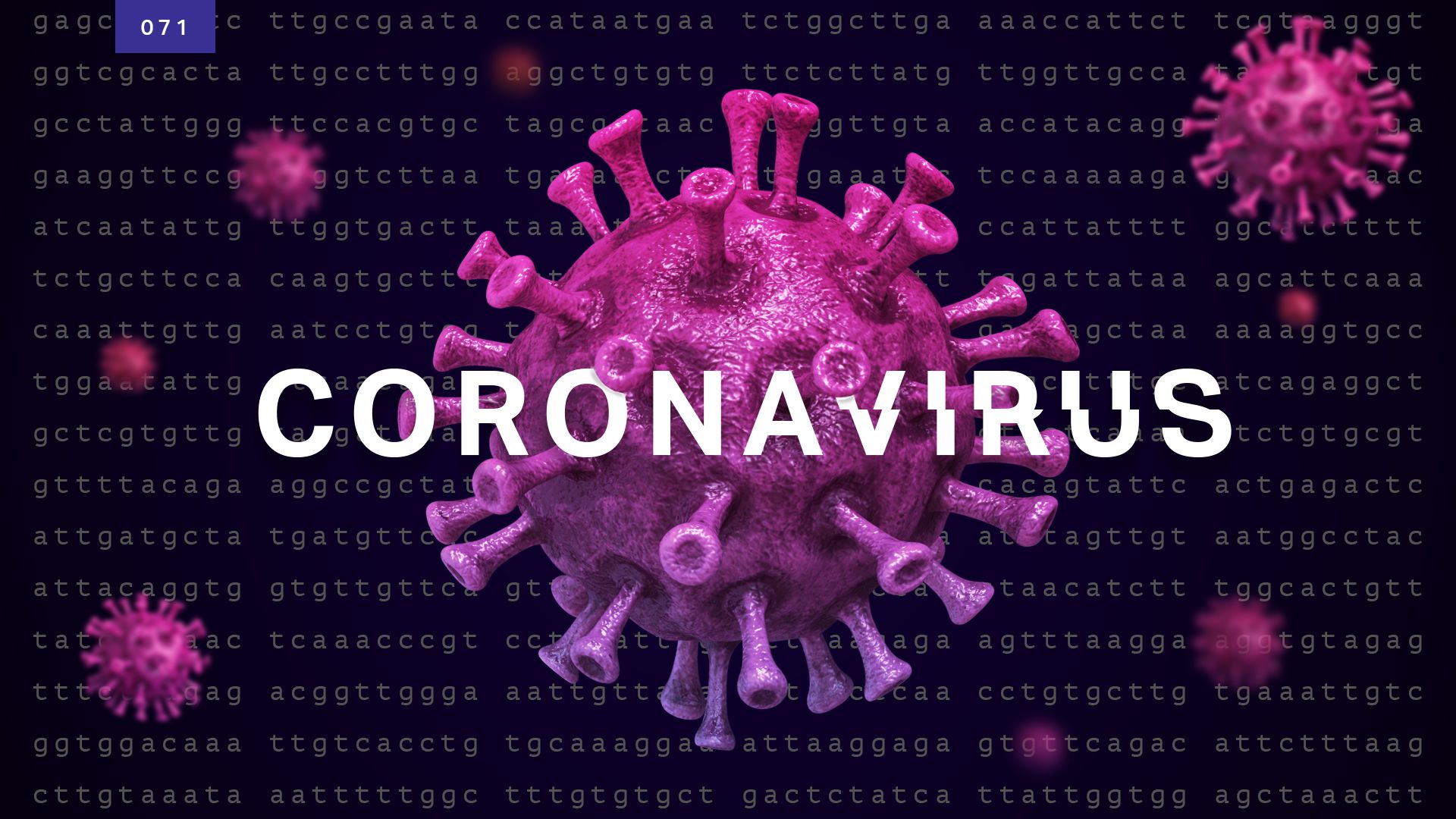 Covid-19 Virus Death Toll Is Higher Then