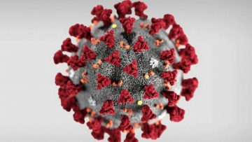 WHO Warns Coronavirus May Never Go Away