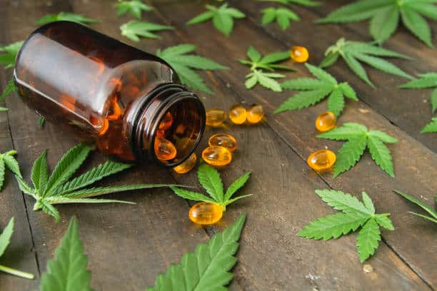 Medicinal CBD extract oil capsules and green cannabis leaves