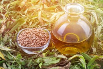  seeds and CBD oil