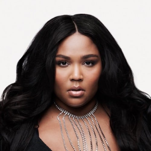 Lizzo controversial lyrics are unintentionally offensive